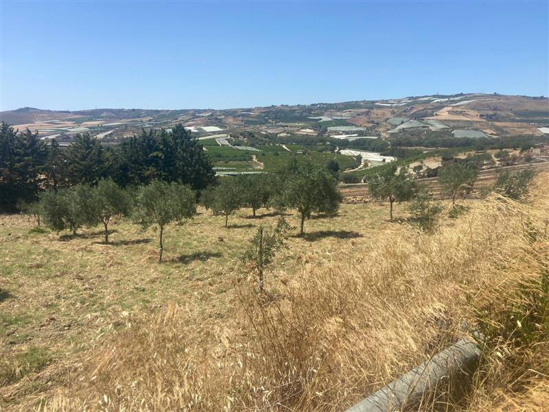 terreno in vendita a Naro