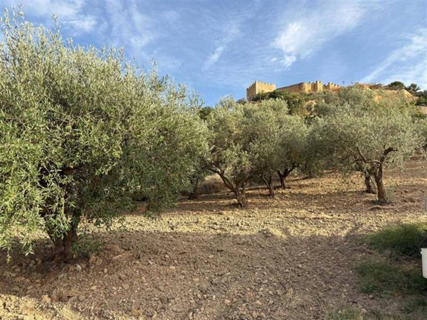 terreno in vendita a Naro