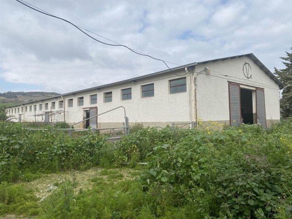 terreno in vendita a Naro
