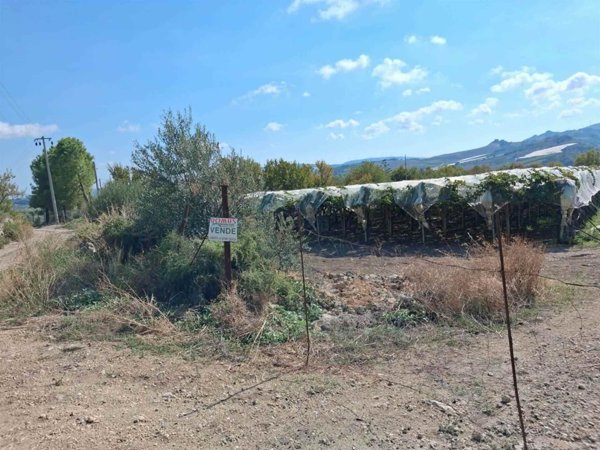 terreno in vendita a Naro