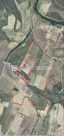 appartamento in vendita a Naro