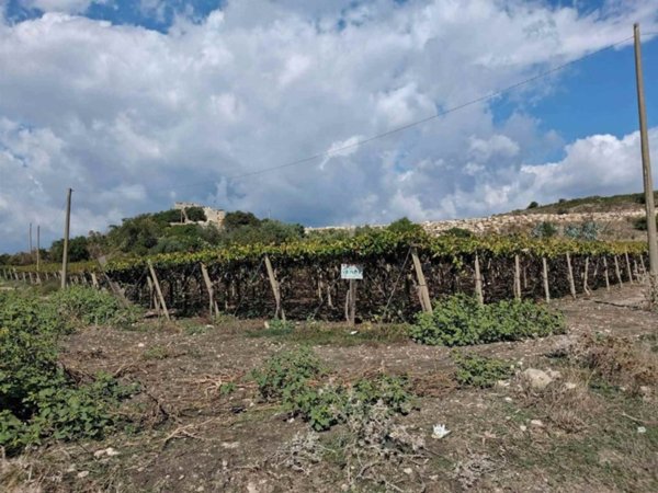 terreno in vendita a Naro