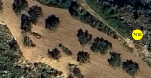 terreno agricolo in vendita a Palma di Montechiaro