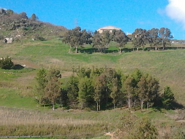terreno agricolo in vendita a Raffadali