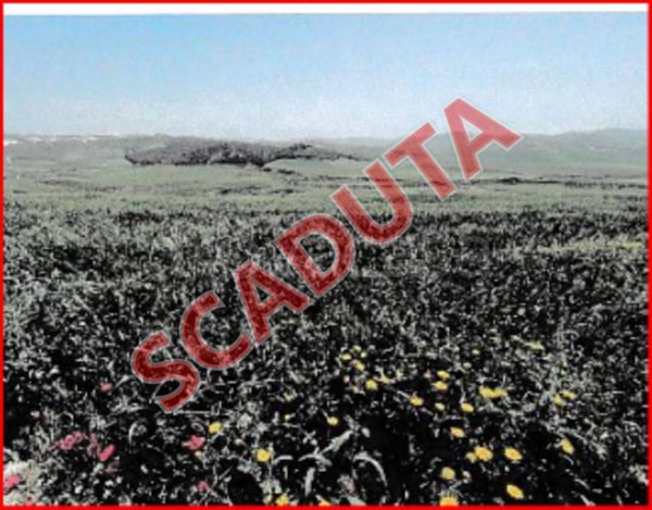 terreno agricolo in vendita a Ravanusa