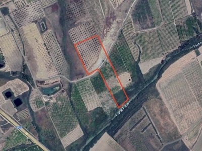 terreno agricolo in vendita a Ribera