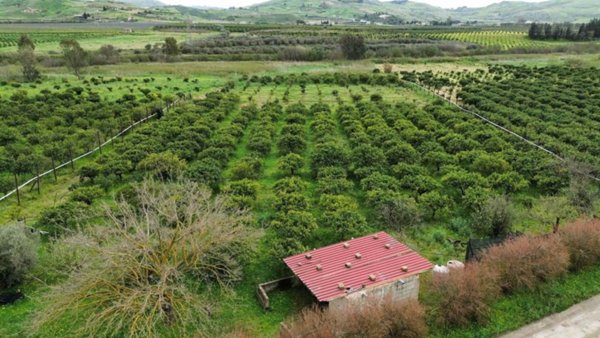 terreno agricolo in vendita a Ribera