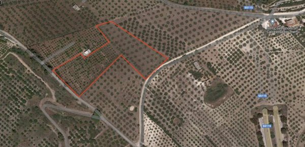 terreno agricolo in vendita a Ribera