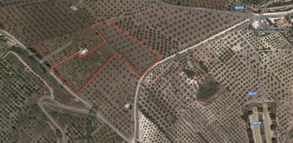 terreno agricolo in vendita a Ribera