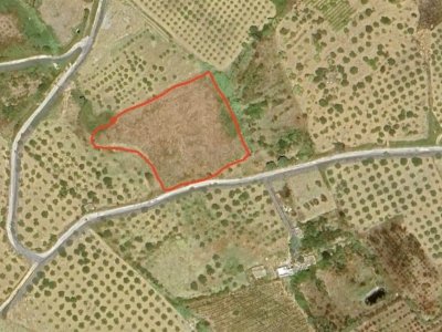 terreno agricolo in vendita a Ribera