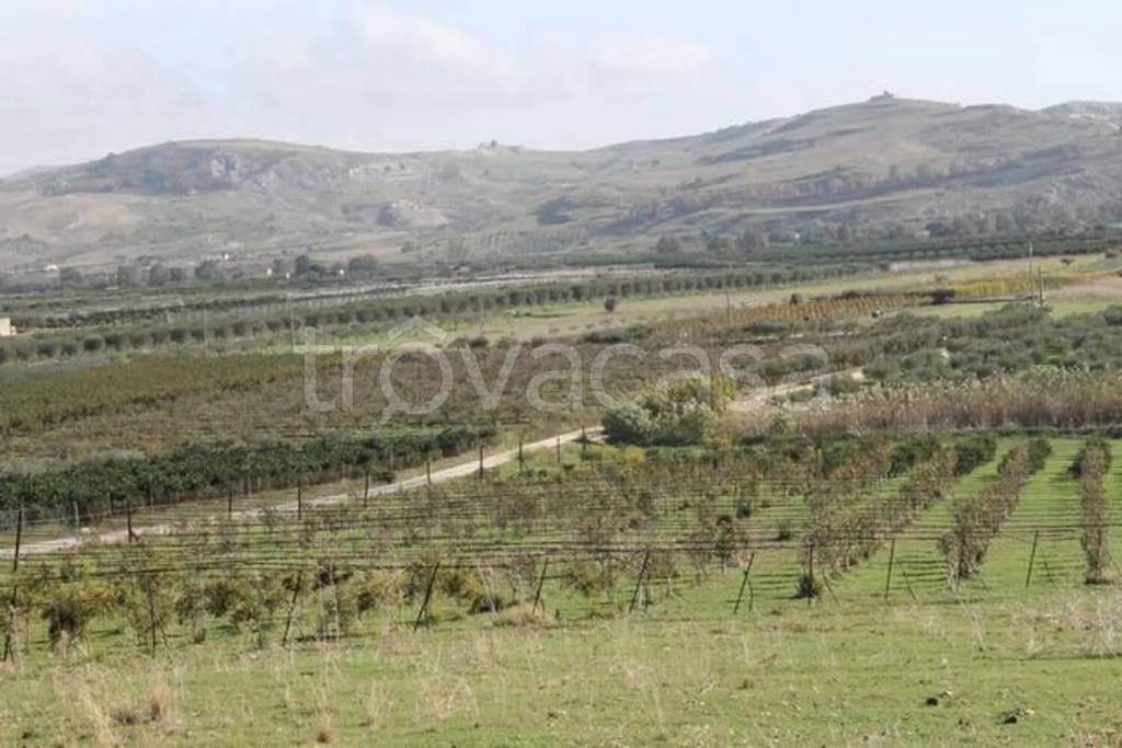 terreno agricolo in vendita a Ribera in zona Borgo Bonsignore