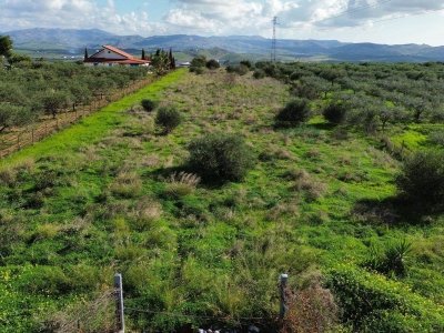 terreno agricolo in vendita a Ribera