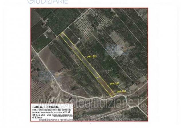 terreno agricolo in vendita a Ribera