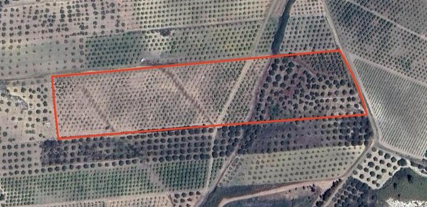 terreno agricolo in vendita a Ribera