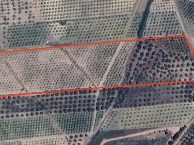 terreno agricolo in vendita a Ribera