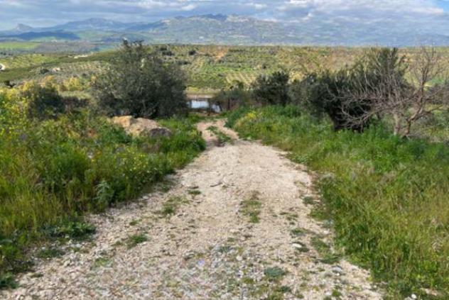 terreno agricolo in vendita a Ribera