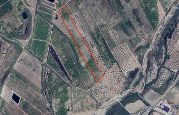 terreno agricolo in vendita a Ribera