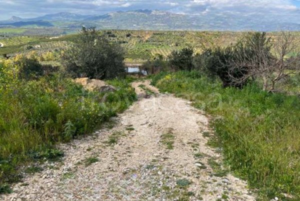 terreno agricolo in vendita a Ribera