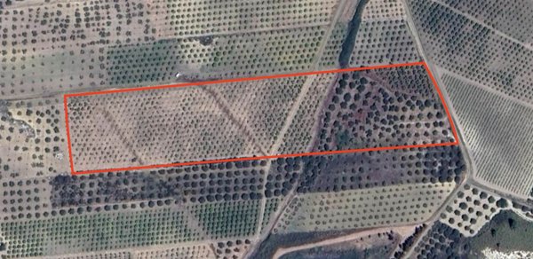 terreno agricolo in vendita a Ribera