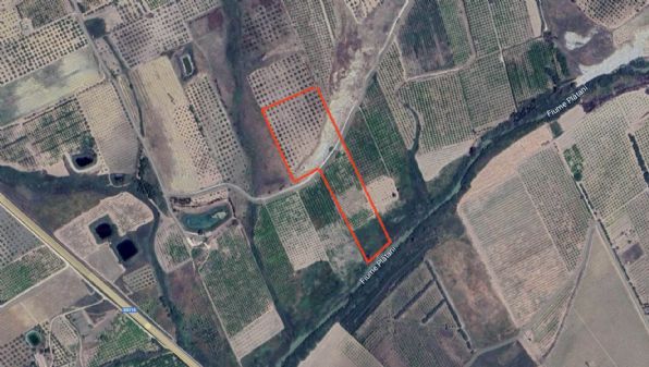 terreno agricolo in vendita a Ribera