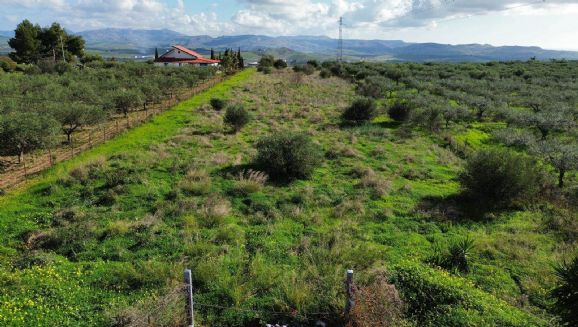 terreno agricolo in vendita a Ribera