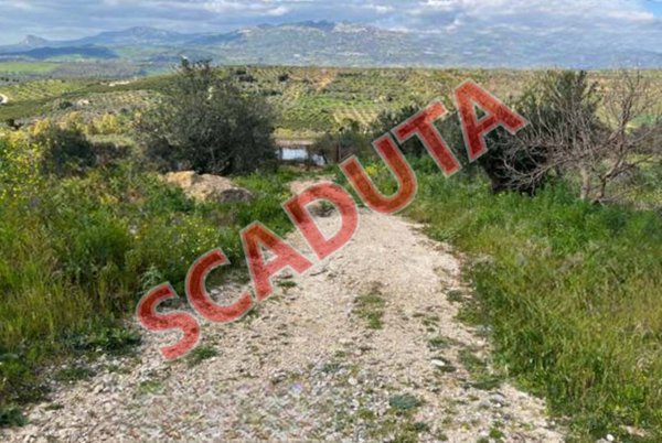 terreno agricolo in vendita a Ribera