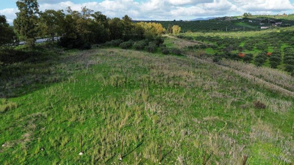 terreno agricolo in vendita a Ribera