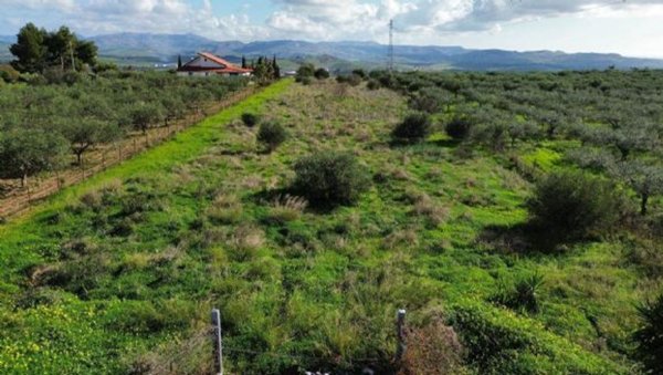 terreno agricolo in vendita a Ribera