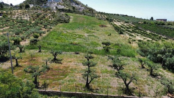 terreno agricolo in vendita a Ribera