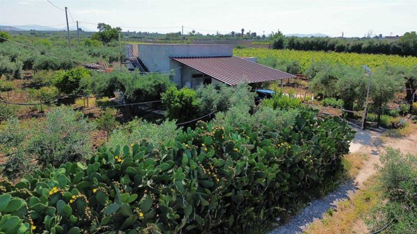 terreno agricolo in vendita a Ribera
