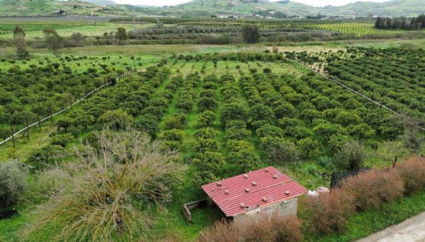 terreno agricolo in vendita a Ribera