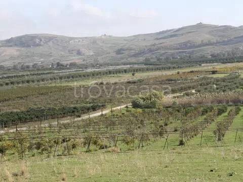 terreno agricolo in vendita a Ribera