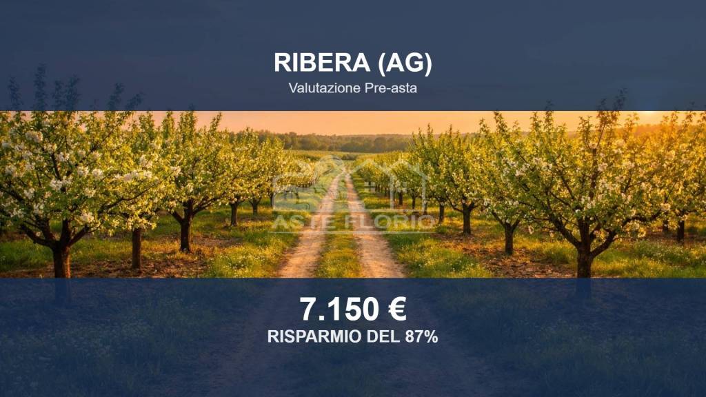 terreno agricolo in vendita a Ribera