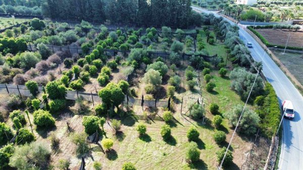 terreno in vendita a Ribera in zona Borgo Bonsignore