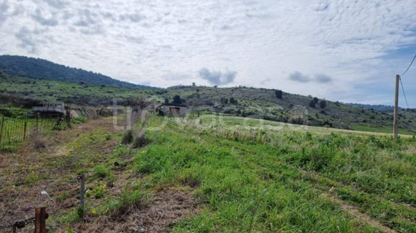 terreno agricolo in vendita a Sambuca di Sicilia
