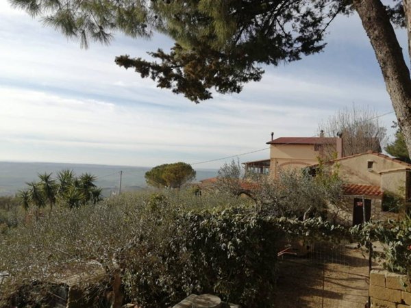 casa indipendente in vendita a Sambuca di Sicilia
