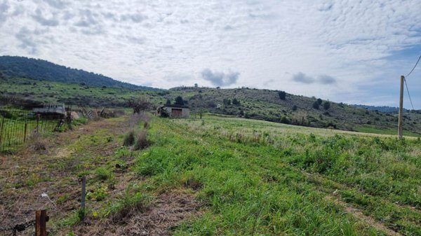 terreno agricolo in vendita a Sambuca di Sicilia