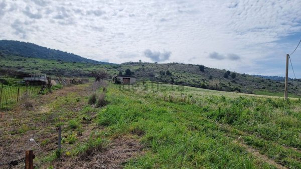 terreno agricolo in vendita a Sambuca di Sicilia