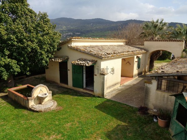 esavano in vendita a Sambuca di Sicilia