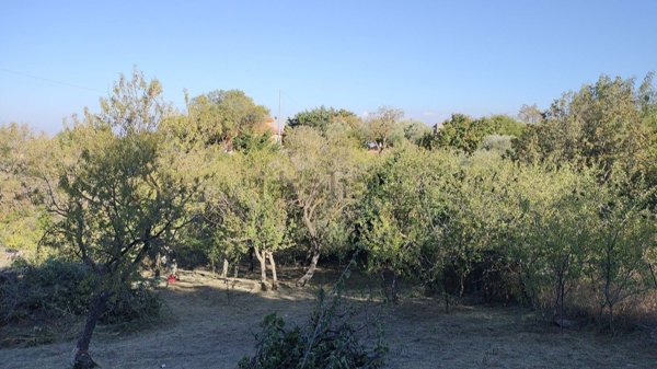 terreno edificabile in vendita a San Giovanni Gemini