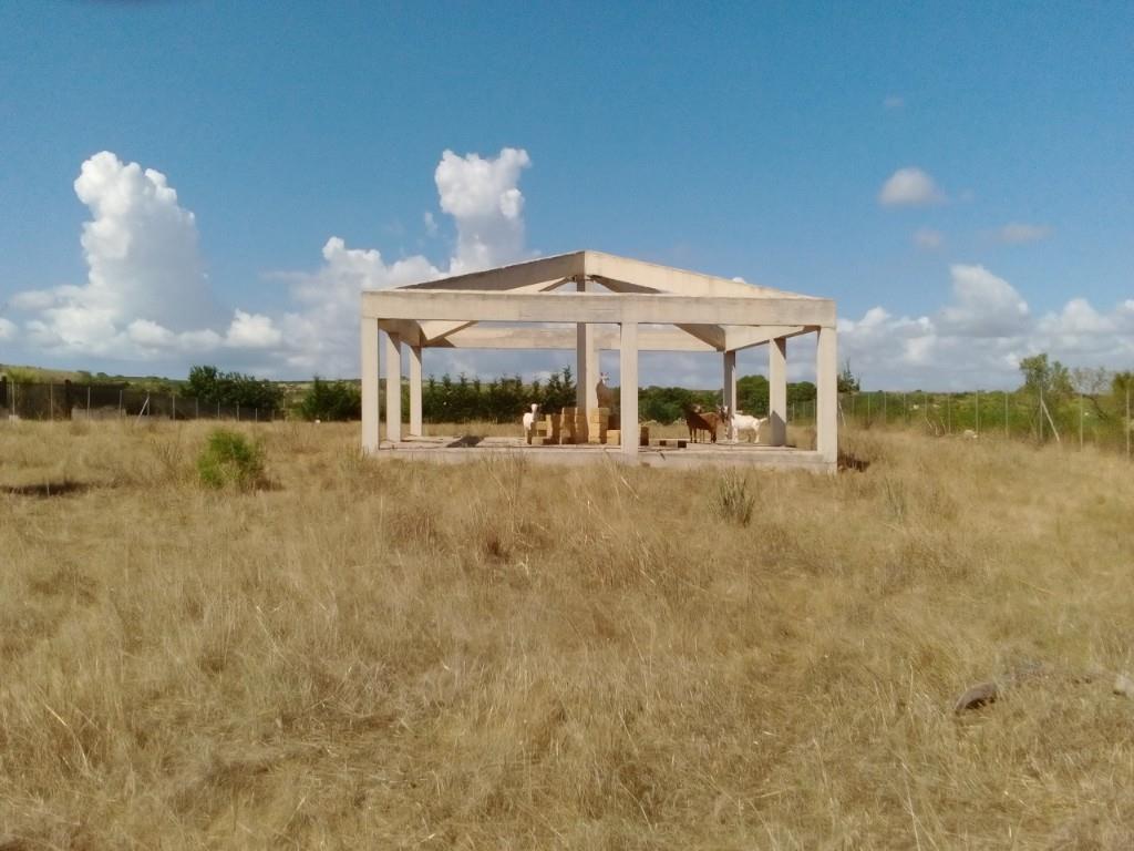 terreno agricolo in vendita a Santa Margherita di Belice