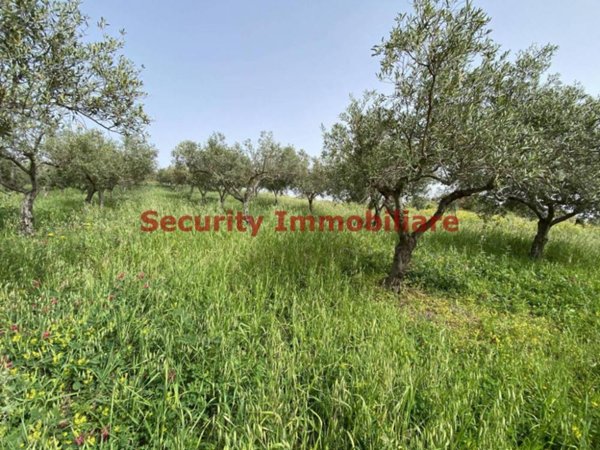 terreno agricolo in vendita a Sciacca in zona San Giorgio/Torre Verdura