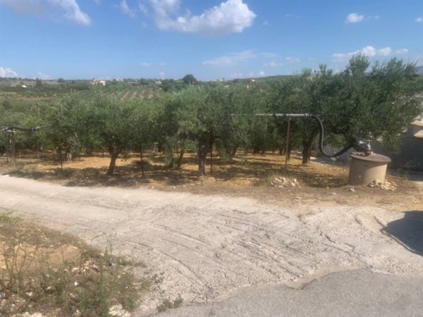 terreno agricolo in vendita a Sciacca