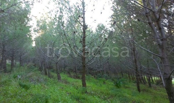 terreno agricolo in vendita a Sciacca