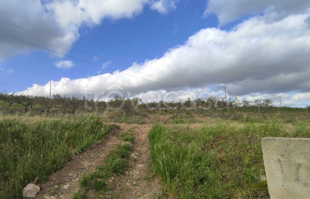 terreno agricolo in vendita a Sciacca