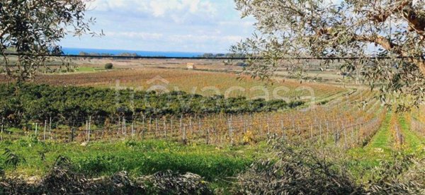 terreno agricolo in vendita a Sciacca