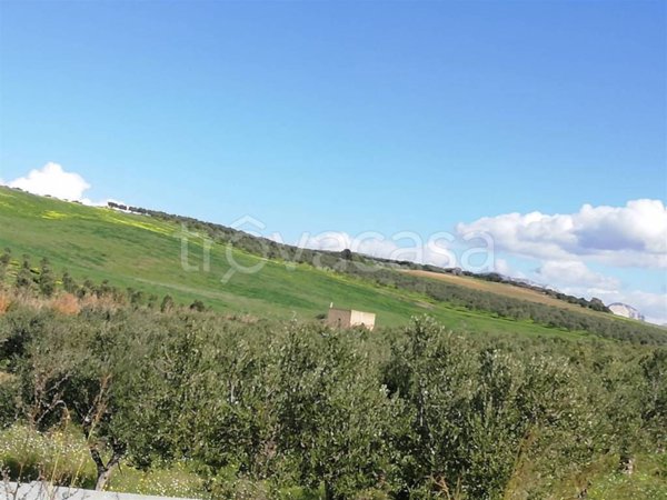 terreno agricolo in vendita a Sciacca