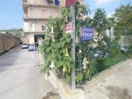 locale di sgombero in vendita a Sciacca