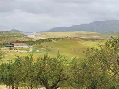 terreno agricolo in vendita a Sciacca