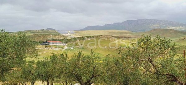 terreno agricolo in vendita a Sciacca